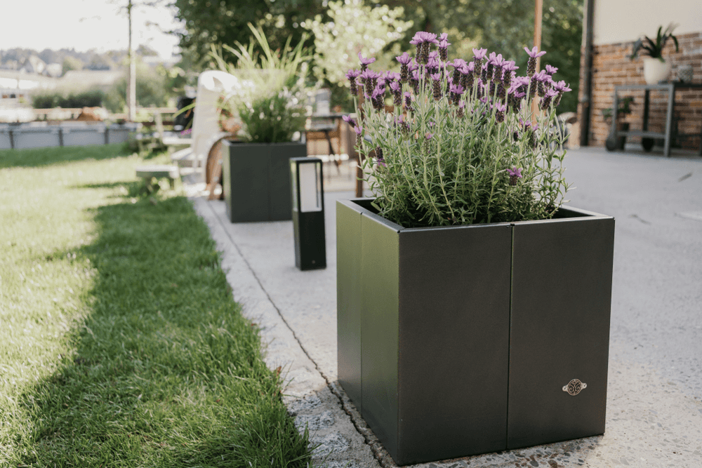 Pflanzkübel Vernazza Metall Pflanzkübel Vernazza Metall