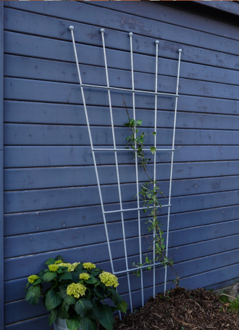 Rankgitter Brindisi aus Metall in feuerverzinkt an einer Wand