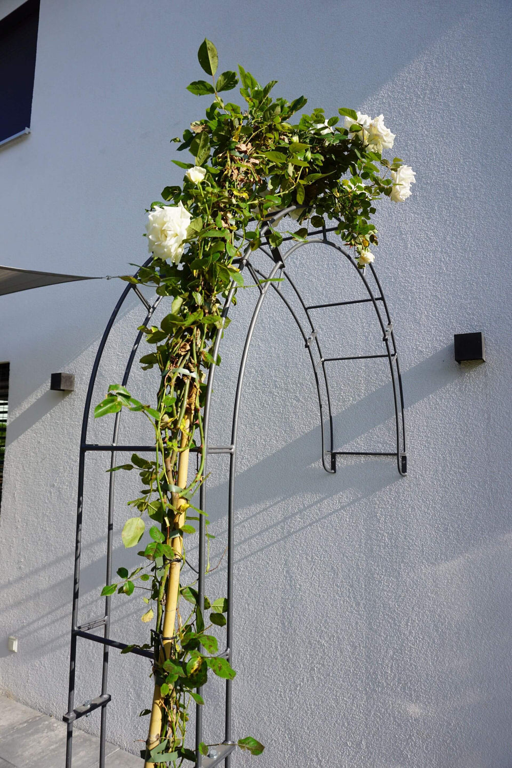 Rosenbogen Cremona Anthrazit an Wand montiert mit Blumen Deko Rosenbogen Cremona Anthrazit an Wand montiert mit Blumen Deko