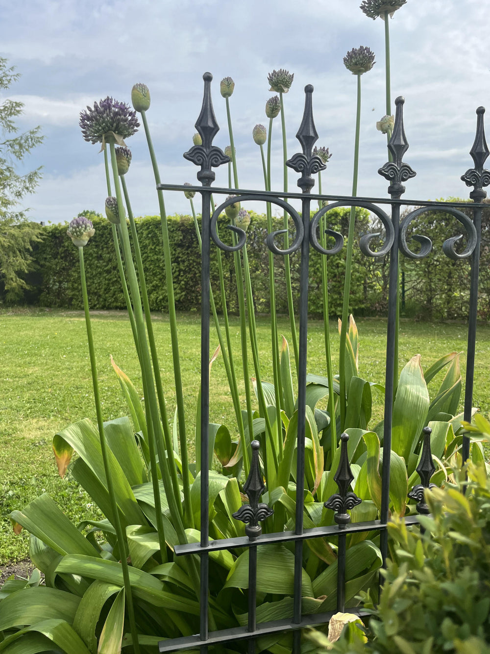 Steckzaun Lucca im Set Steckzaun Lucca im Set