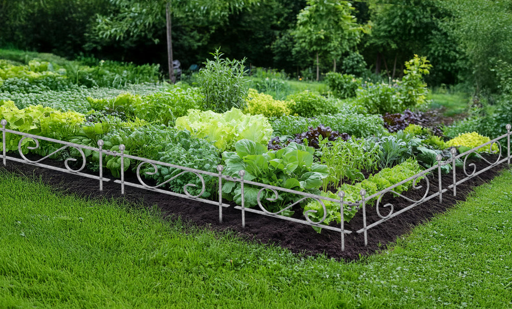 Beetzaun Balerna Beetzaun Balerna