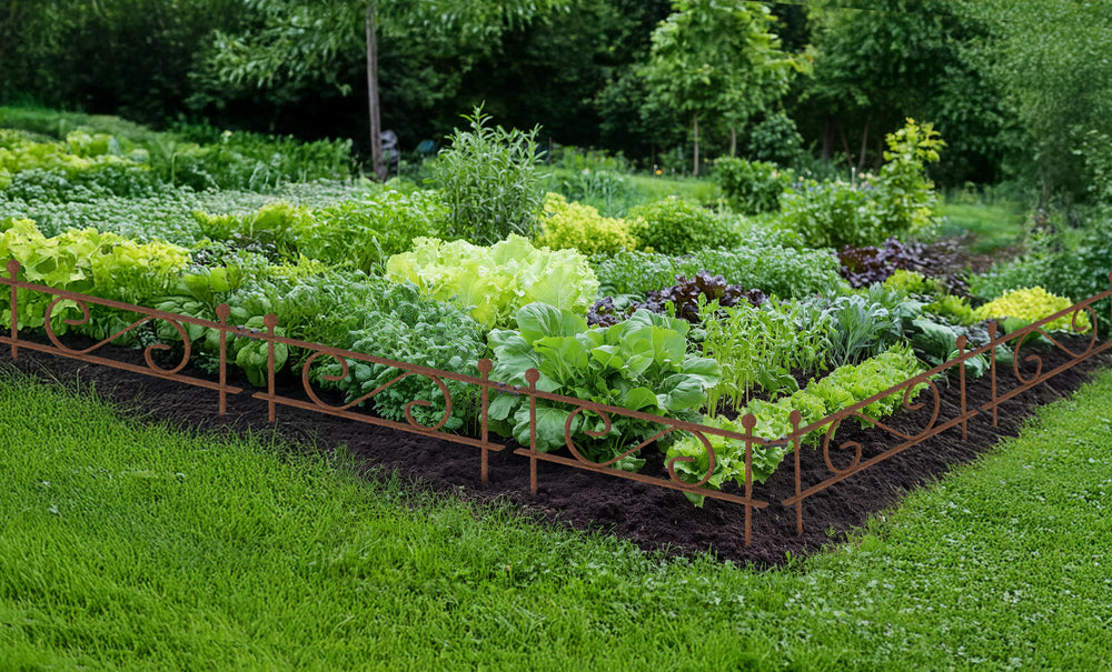 Beetzaun Balerna Beetzaun Balerna