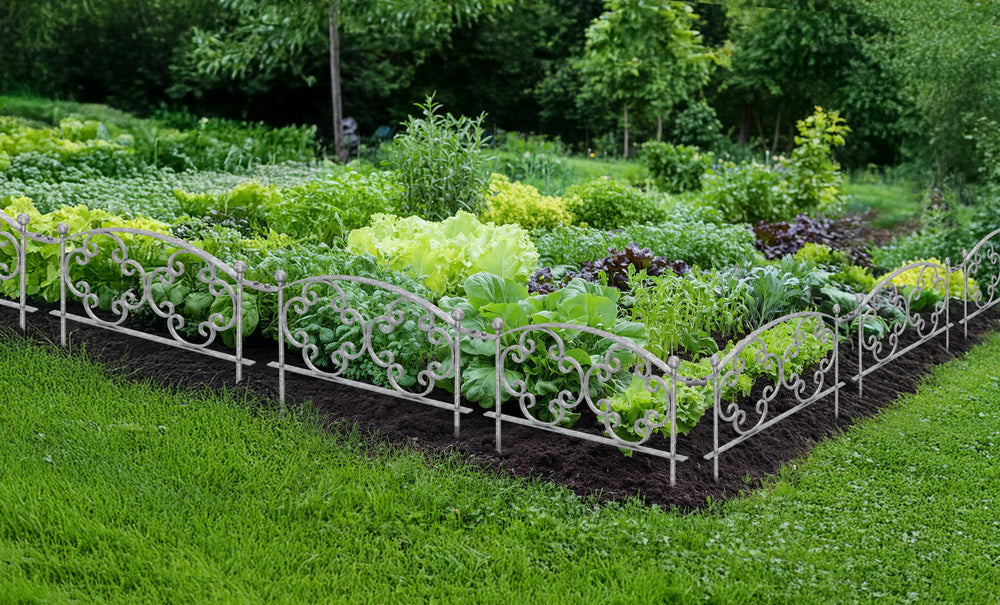 Beetzaun Rosa Set Beetzaun Rosa Set