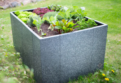 Hochbeet Monterosso feuerverzinkt bepflanzt im Garten