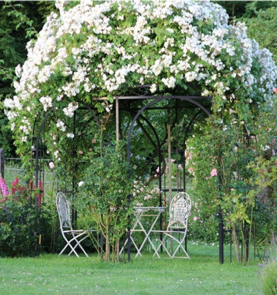 Pavillon Milano unbeschichtet mit Blumen berankt