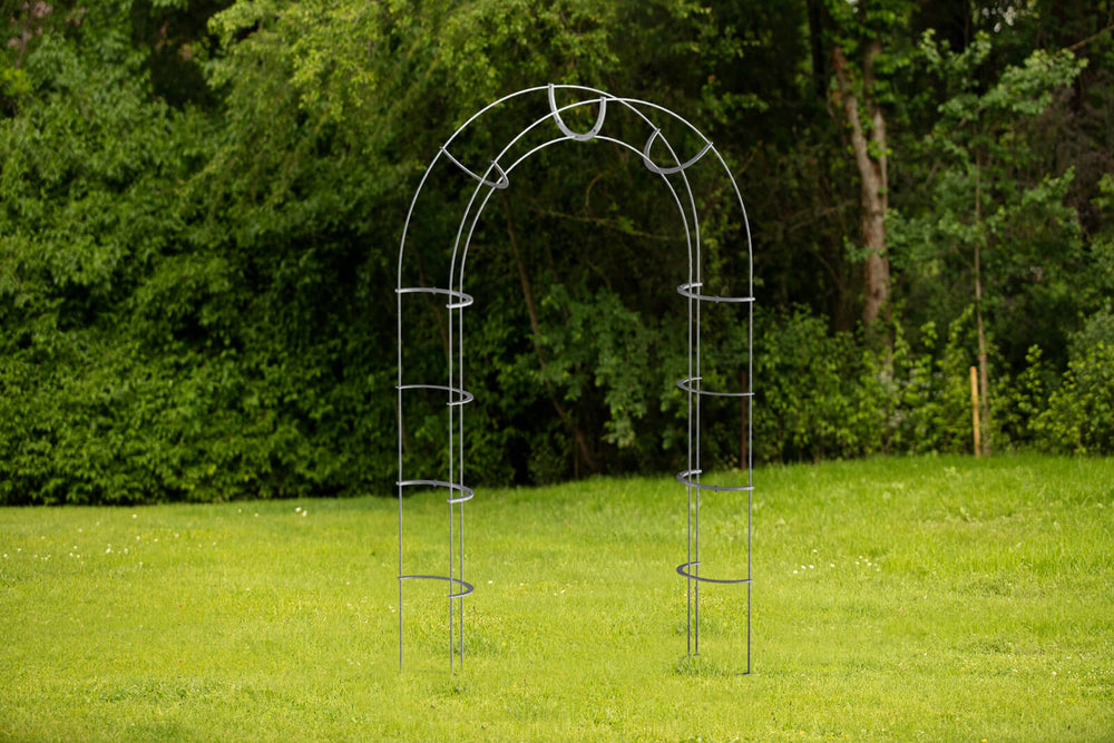 Rosenbogen Caserta Rosenbogen Caserta