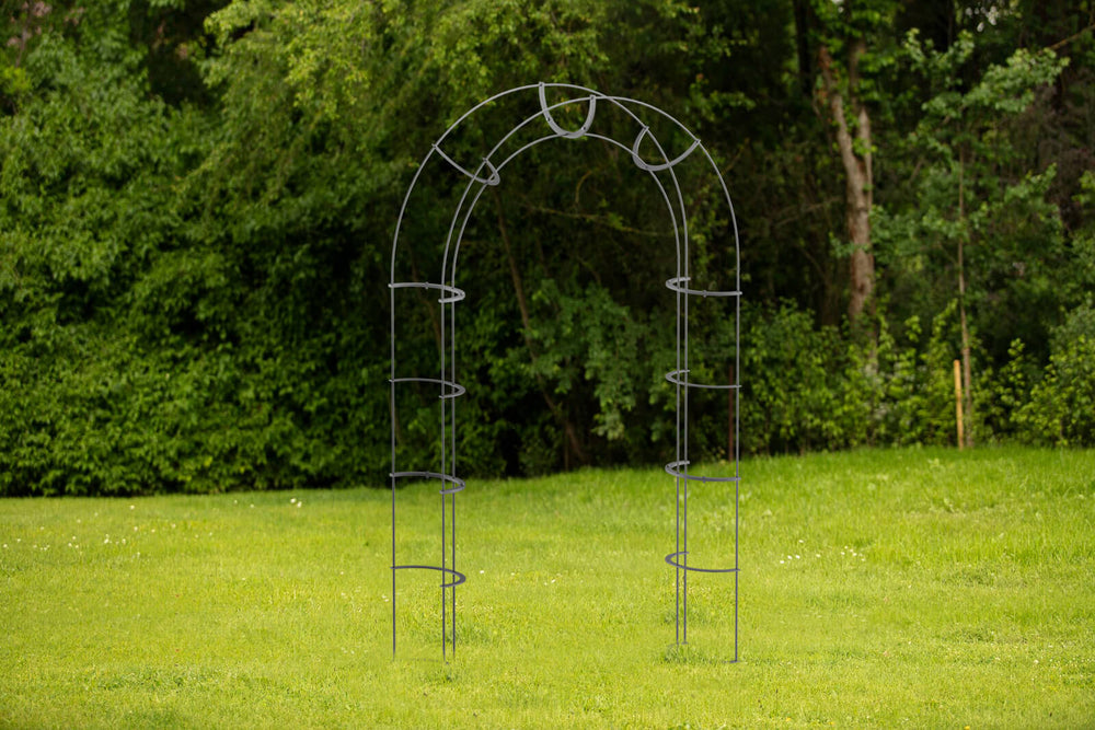 Rosenbogen Caserta Rosenbogen Caserta