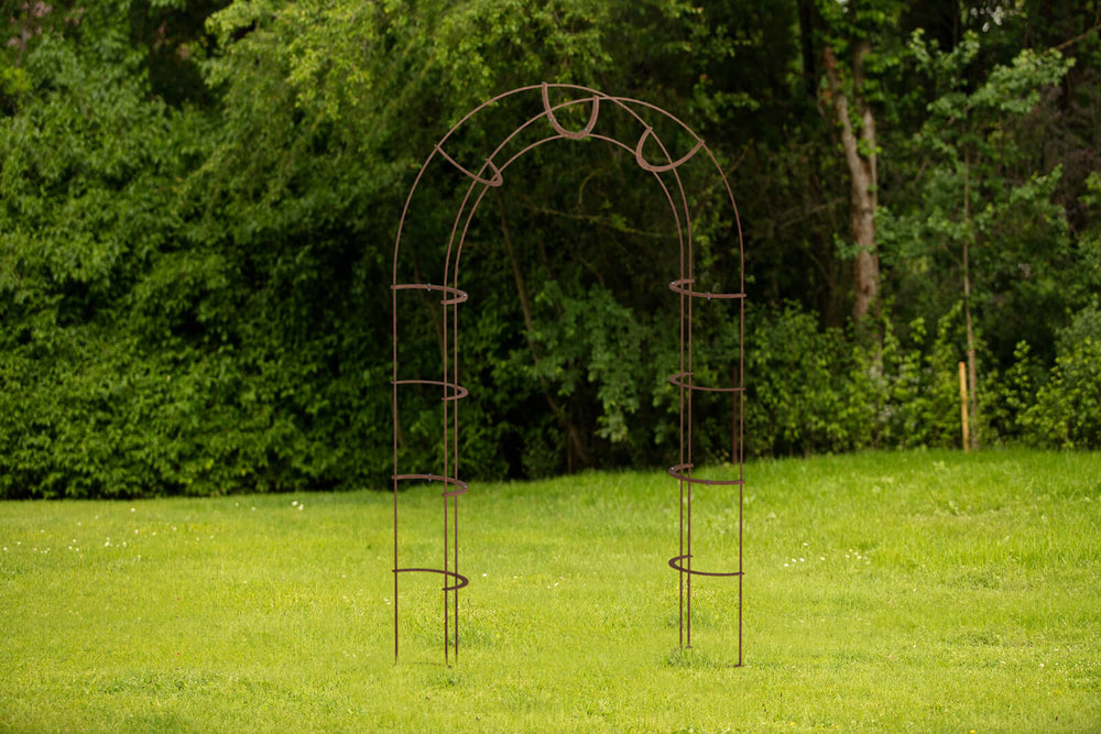 Rosenbogen Caserta Rosenbogen Caserta