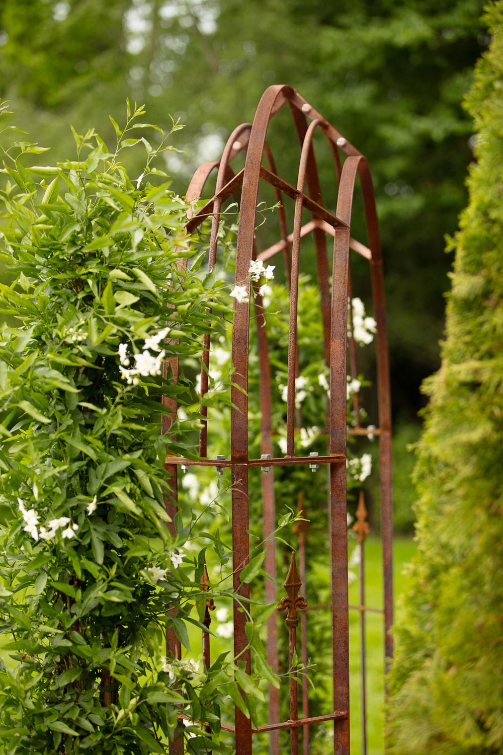 Rosenbogen Cosenza Nahaufnahme Bogen mit Edelrost | Unbeschichtet Rosenbogen Cosenza Nahaufnahme Bogen mit Edelrost | Unbeschichtet