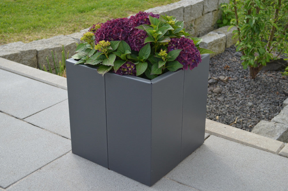 Pflanzkübel Vernazza 40x40x40 cm in pulverbeschichtet Anthrazit mit lila Blumen bepflanzt in einem modernen Garten Pflanzkübel Vernazza 40x40x40 cm in pulverbeschichtet Anthrazit mit lila Blumen bepflanzt in einem modernen Garten