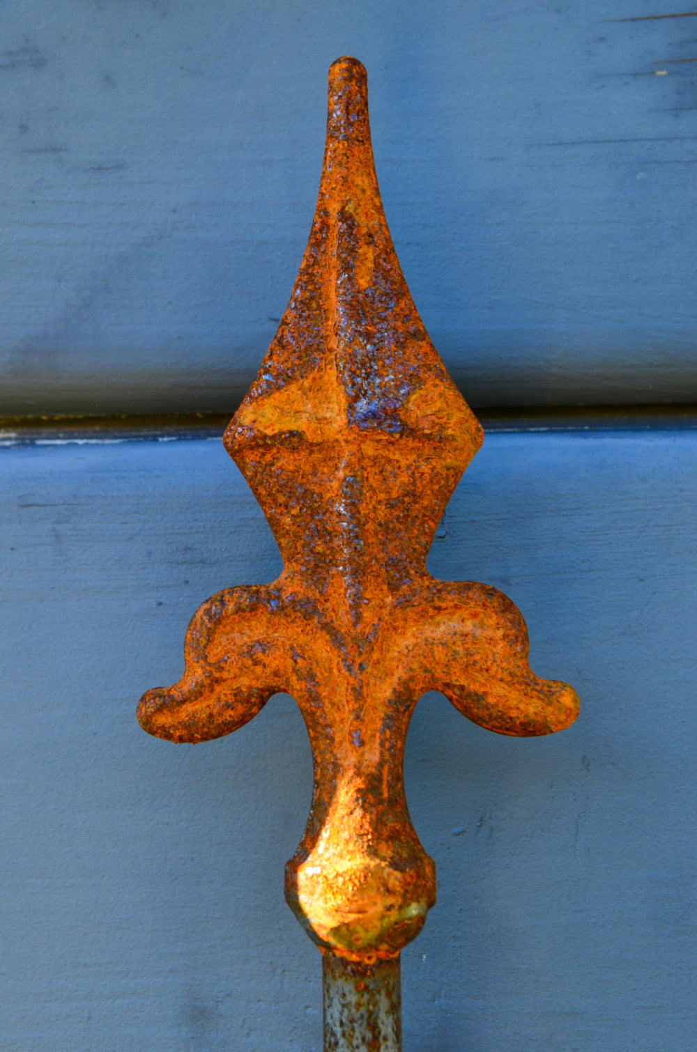 Wandgitter Edera in unbeschichtet Spitzendetail Nahaufnahme Rostpatina Wandgitter Edera in unbeschichtet Spitzendetail Nahaufnahme Rostpatina