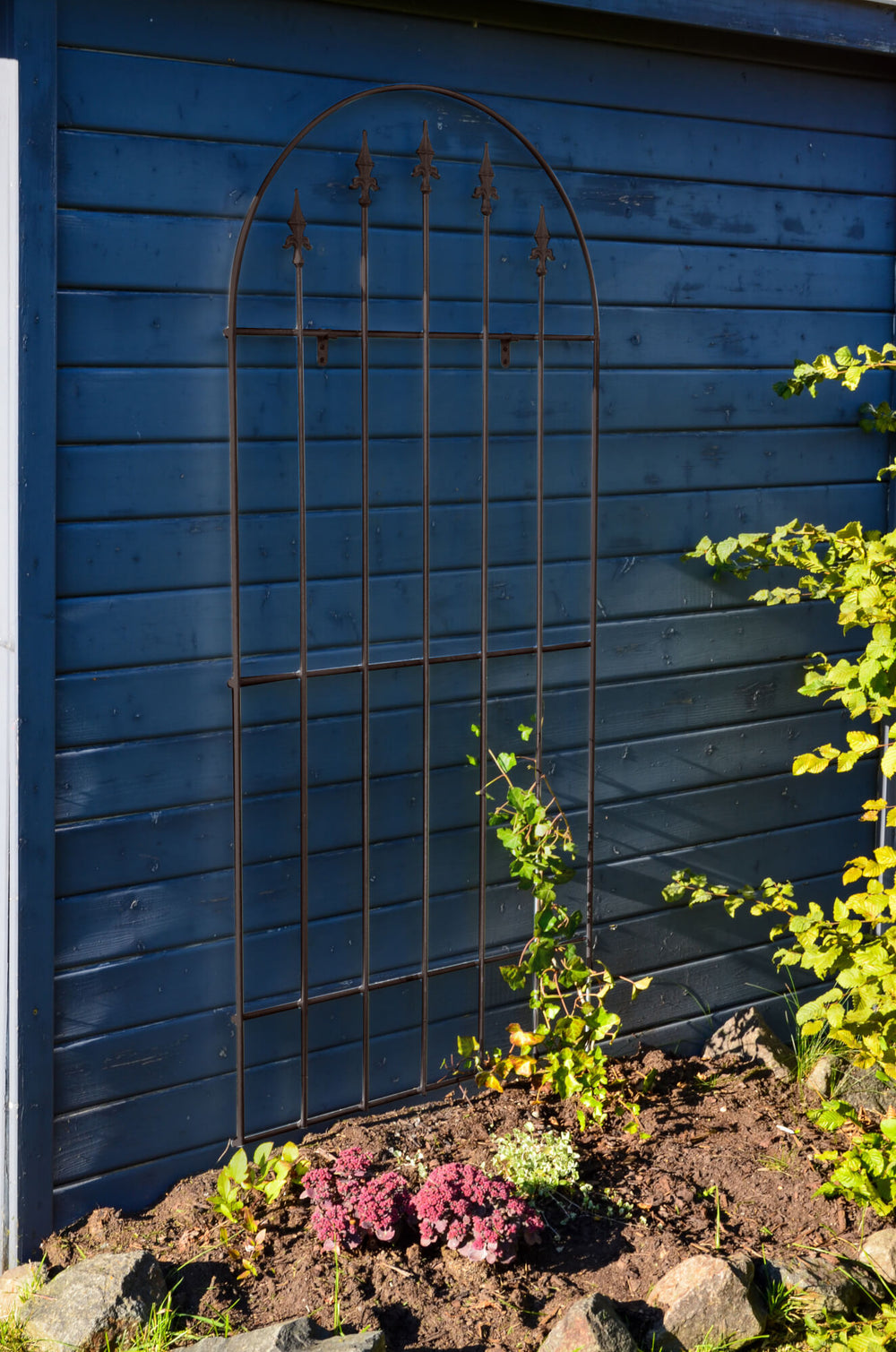 Wandgitter Edera in pulverbeschichtet Sonderfarbe RAL 8017 Schokoladenbraun an einer blauen Hauswand mit bepflanztem Beet Wandgitter Edera in pulverbeschichtet Sonderfarbe RAL 8017 Schokoladenbraun an einer blauen Hauswand mit bepflanztem Beet