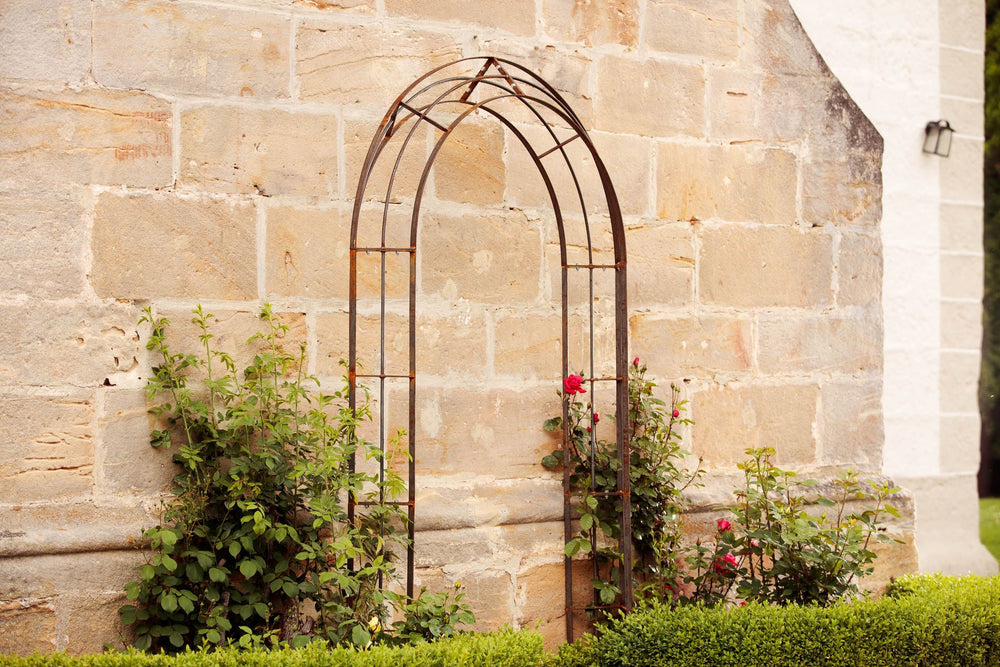 Rosenbogen Matera in unbeschichtet an einer Hauswand mit mediterraner Umgebung Rosenbogen Matera in unbeschichtet an einer Hauswand mit mediterraner Umgebung