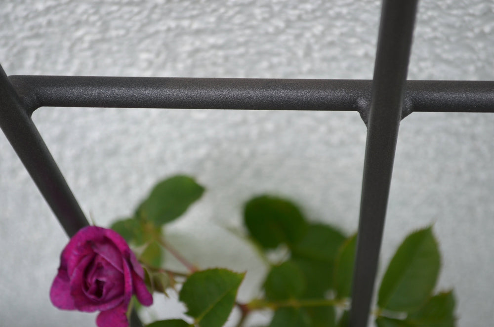 Rankgitter Bari Detailansicht Verstrebungen, pulverbeschichtet anthrazit Rankgitter Bari Detailansicht Verstrebungen, pulverbeschichtet anthrazit