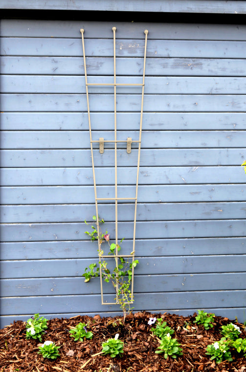 Rankgitter Bari in pulverbeschichtet RAL 9001 Cremeweiß an einer blauen Hauswand montiert und mit Rankpflanzen bewachsen Rankgitter Bari in pulverbeschichtet RAL 9001 Cremeweiß an einer blauen Hauswand montiert und mit Rankpflanzen bewachsen