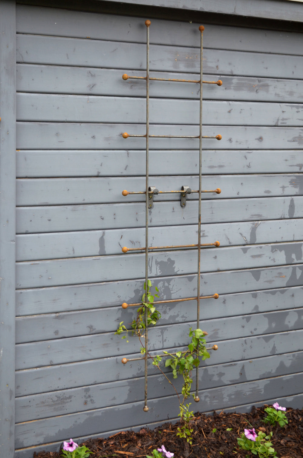 Rankgitter Tarent klein vor Holzhütte, unbeschichtet Rankgitter Tarent klein vor Holzhütte, unbeschichtet