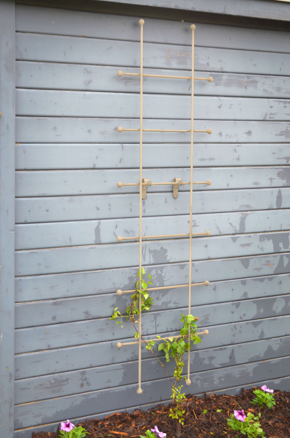 Rankgitter Tarent klein in pulverbeschichtet Sonderfarbe RAL 9001 Cremeweiß an einer Hauswand montiert Rankgitter Tarent klein in pulverbeschichtet Sonderfarbe RAL 9001 Cremeweiß an einer Hauswand montiert