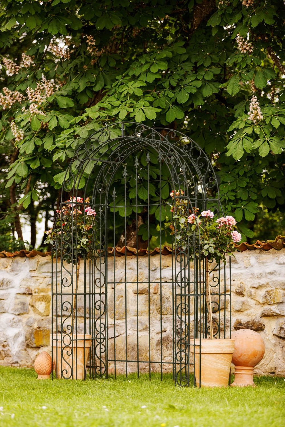 Rosenbogen Calabria mit Rückwand in pulverbeschichtet Sonderfarbe RAL 6009 Tannengrün mit romantischer Rosen-Bepflanzung Rosenbogen Calabria mit Rückwand in pulverbeschichtet Sonderfarbe RAL 6009 Tannengrün mit romantischer Rosen-Bepflanzung