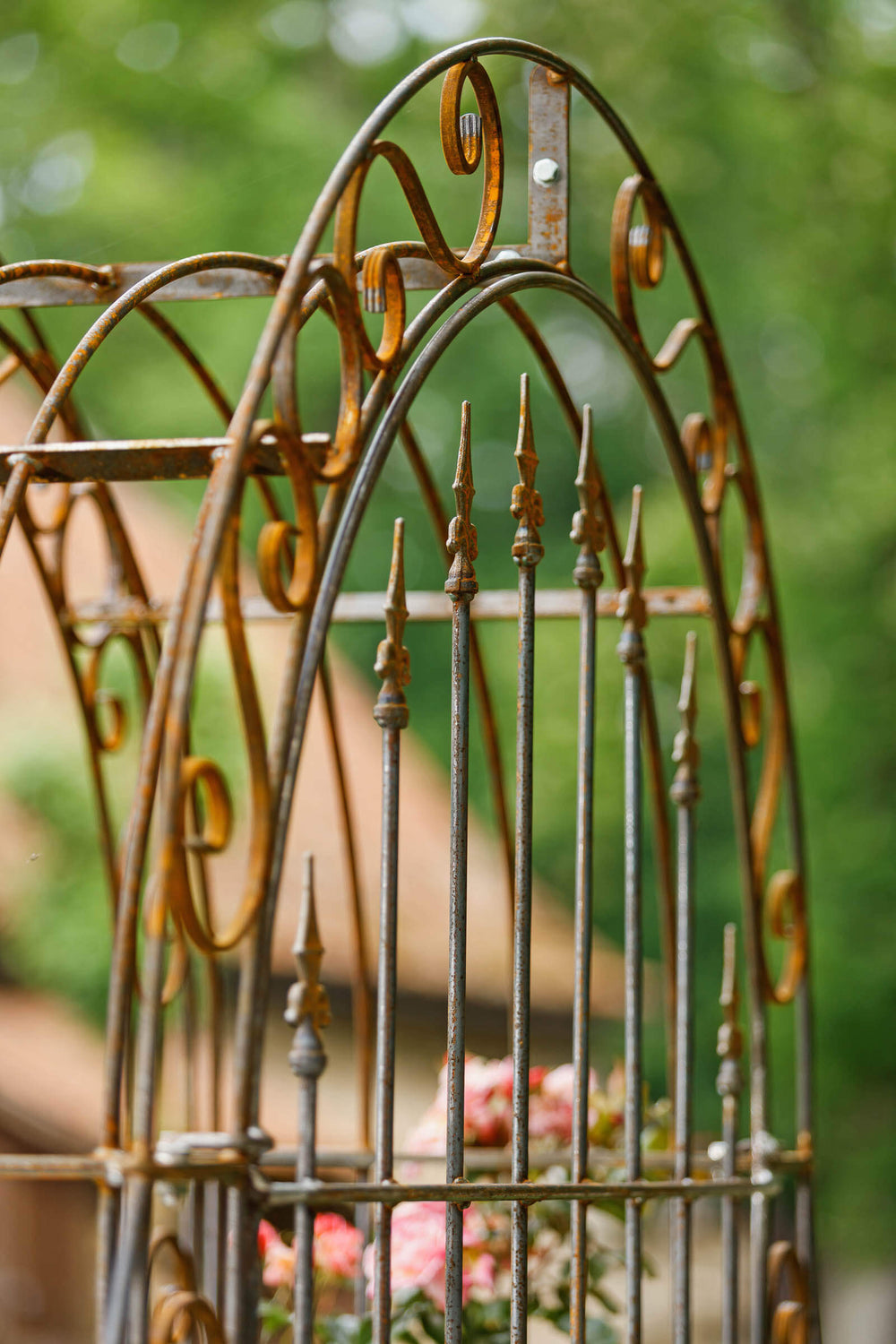 Rosenbogen Calabria mit Rückwand in Rostoptik Detailansicht oberes Drittel seitlich Kreuzlilien-Spitzen Rosenbogen Calabria mit Rückwand in Rostoptik Detailansicht oberes Drittel seitlich Kreuzlilien-Spitzen