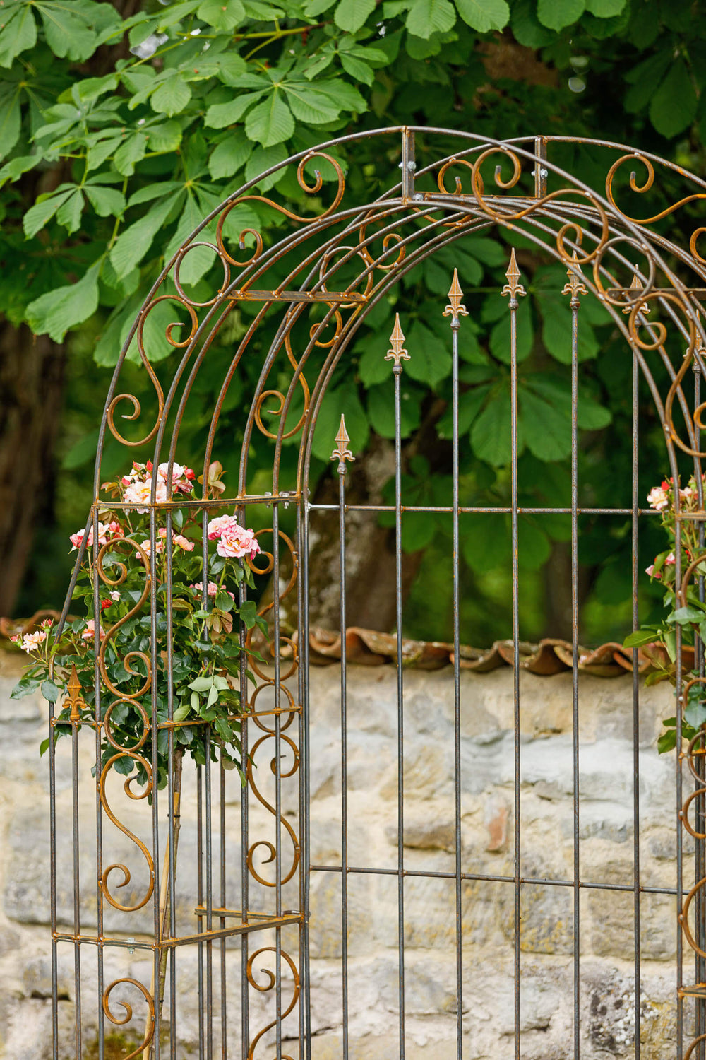 Rosenbogen Calabria mit Rückwand in Rostoptik mit seitlichen Rosen Rosenbogen Calabria mit Rückwand in Rostoptik mit seitlichen Rosen