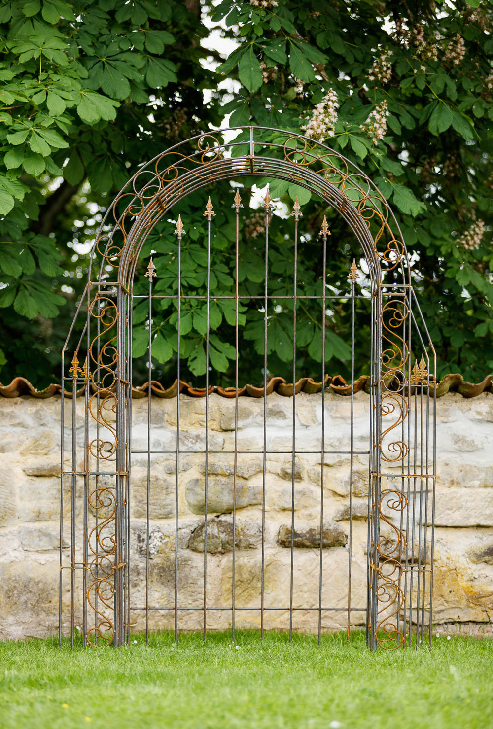Rosenbogen Calabria mit Rückwand in Rostoptik Gesamtansicht frontal vor Mauer und grünen Bäumen Rosenbogen Calabria mit Rückwand in Rostoptik Gesamtansicht frontal vor Mauer und grünen Bäumen
