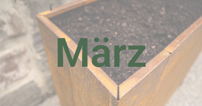 Gartentipps für den März