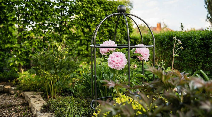 Pflegeleichter Garten – Ideen und Tipps für eine einfache Gartengestaltung