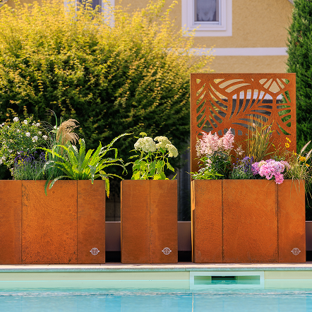 Hochbeet Monterosso Cortenstahl mit und ohne Sichtschutz aufgereiht als Pool-Sichtschutz im Garten
