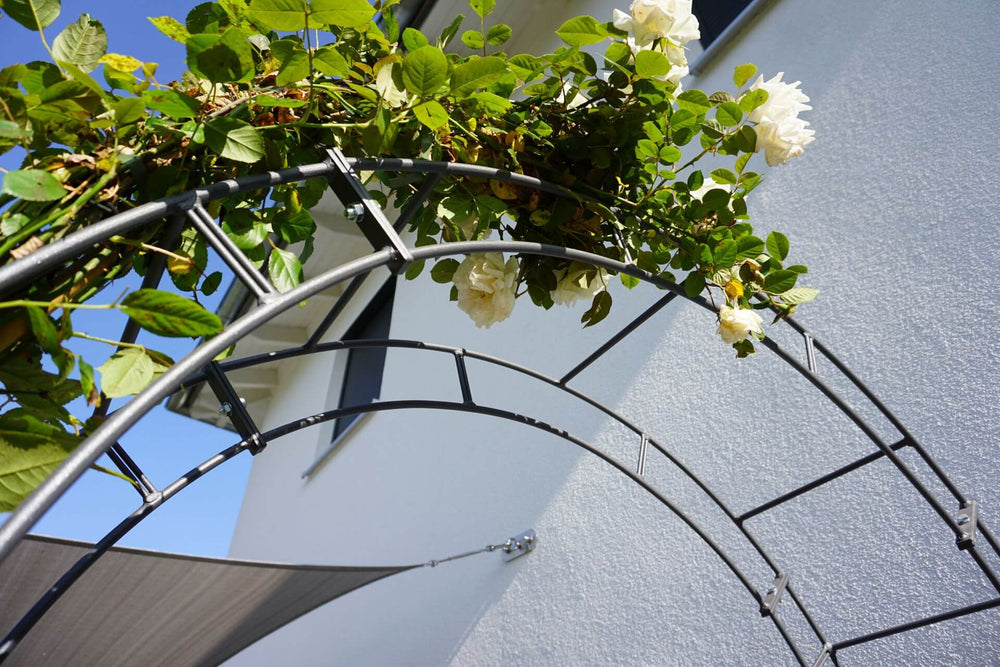 Rosenbogen Cremona anthrazit Bogen mit Blumen