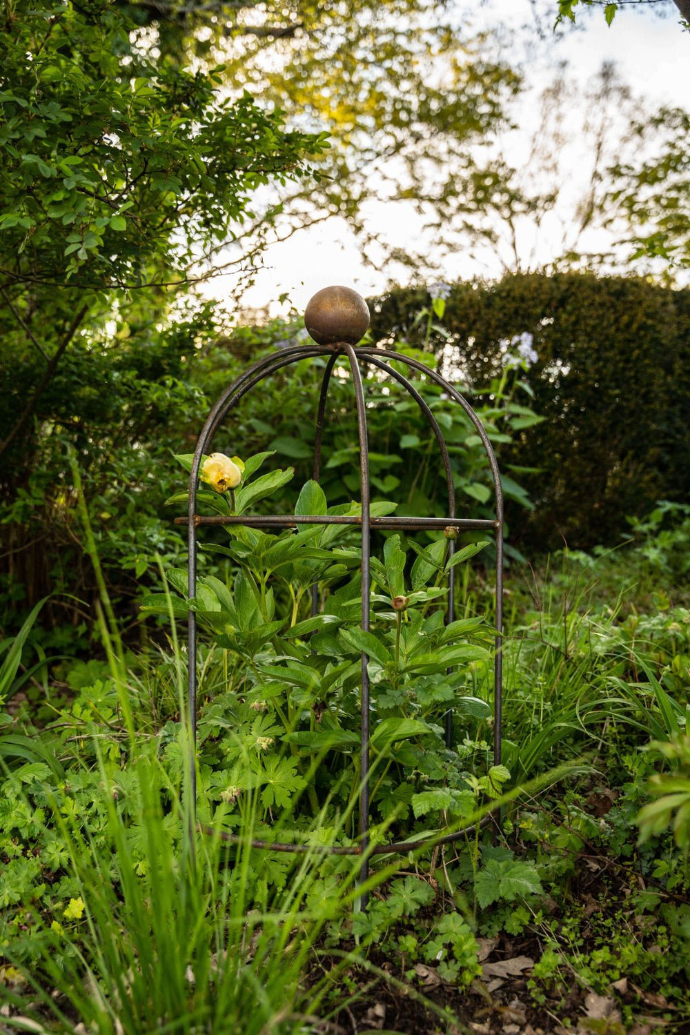 Pflanzenstütze Arezzo im grünen garten, unbeschichtet