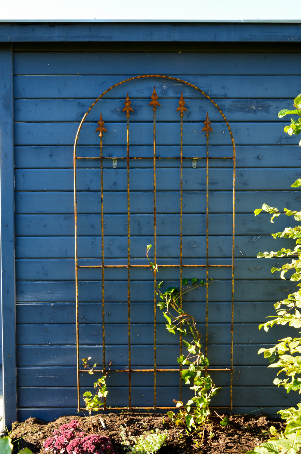 Wandgitter Edera