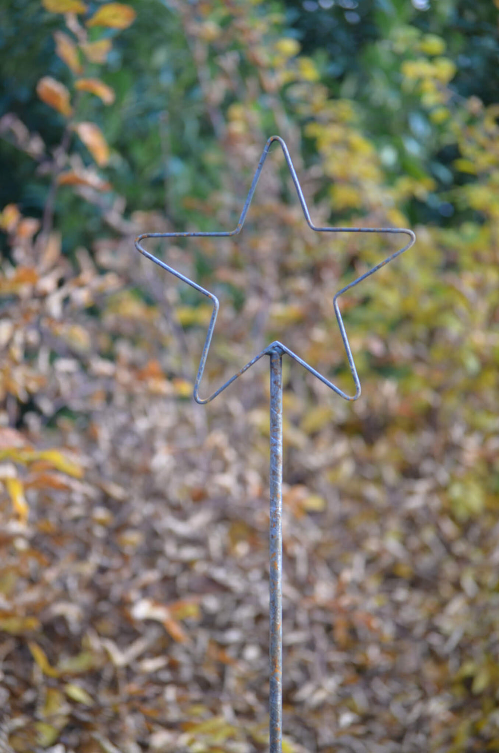 Rankstab Tissano Stern-Spitze vor grünen Blättern im Garten