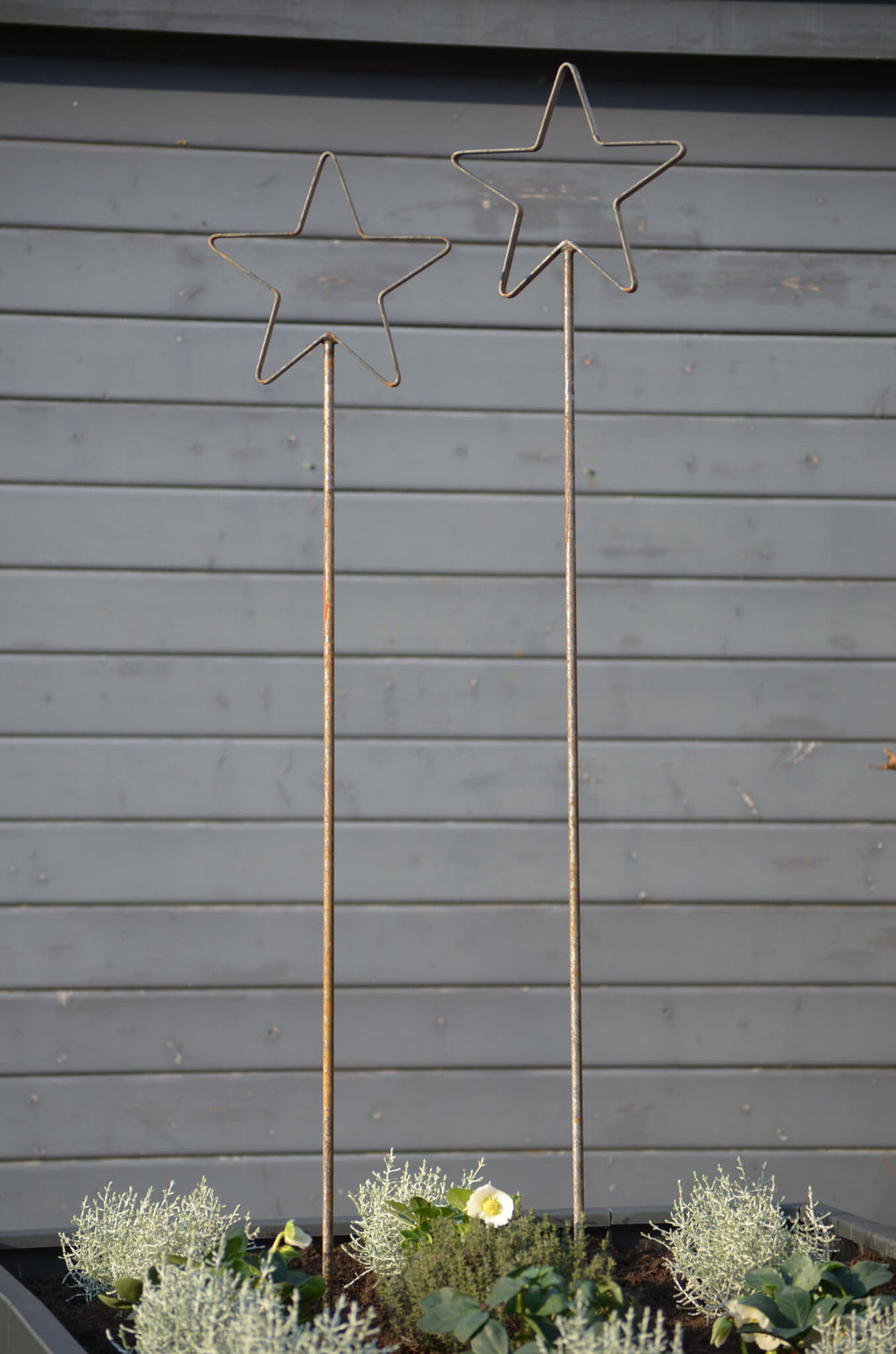 Rankstabset Tissano Gesamtansicht beide Rankstäbe im Hoochbeet vor Gartenhaus