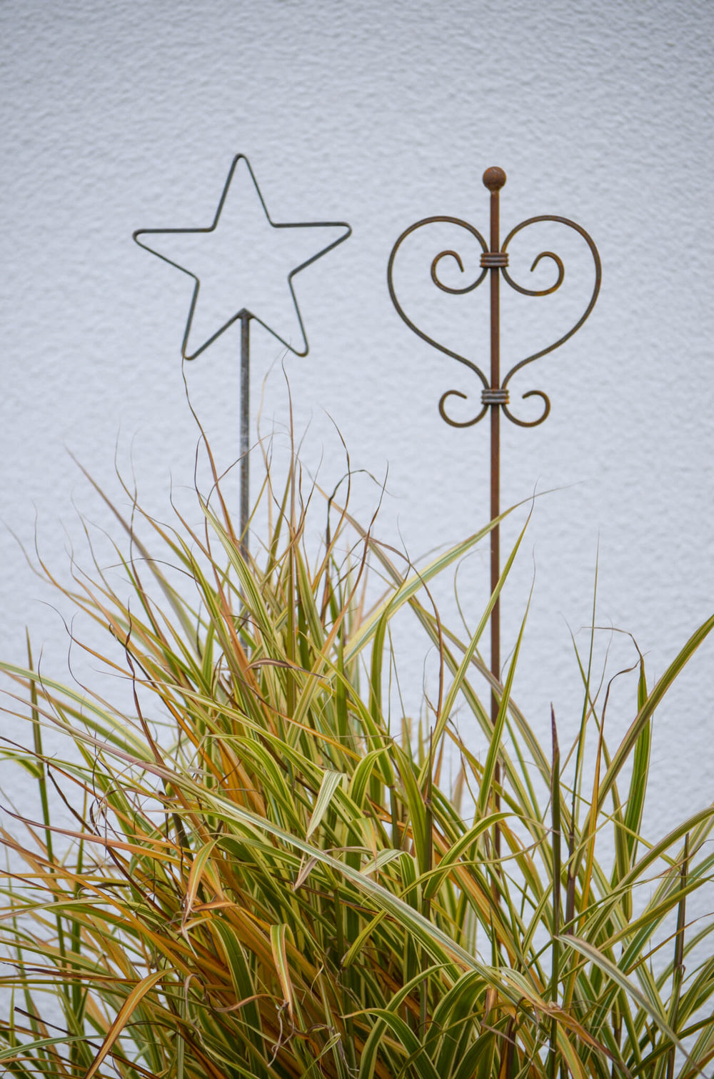 Rankstabset Tissano & Treviso Stern- und Herz-Spitze vor Hauswand mit grünen Rankpflanzen